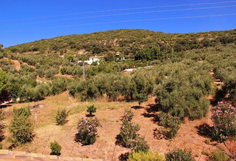 펜션 Hostal La Zamora