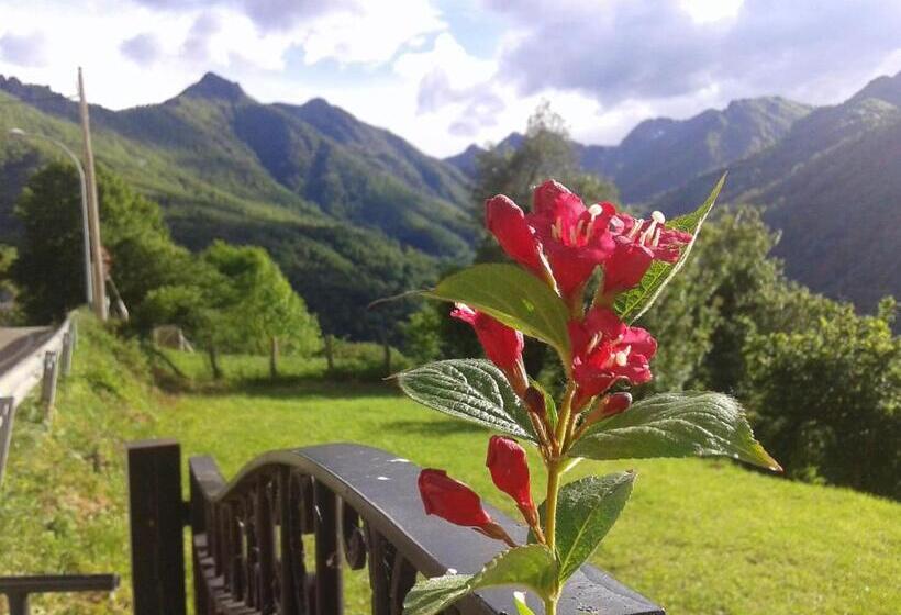 פנסיון Hostal Les Bedules