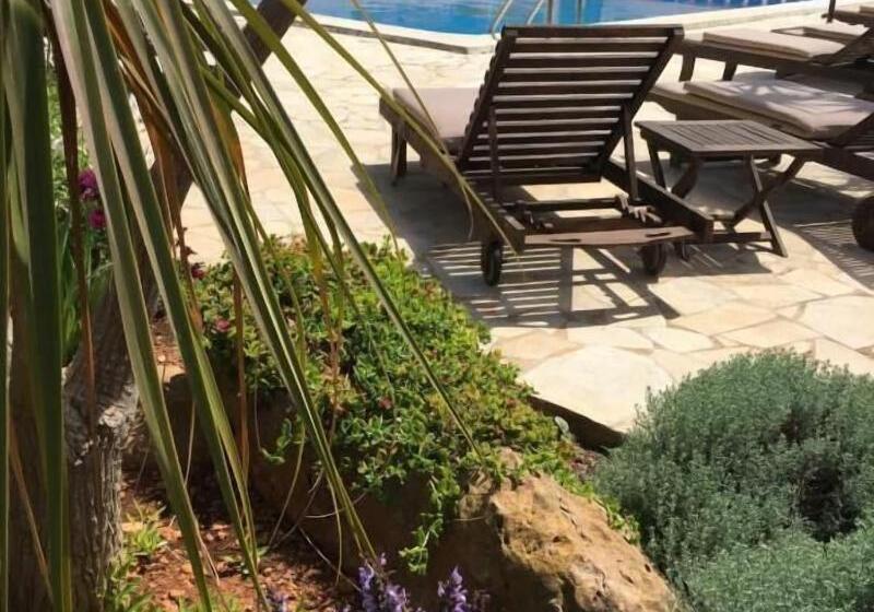 פנסיון Hostal Restaurante Pou Des Lleó