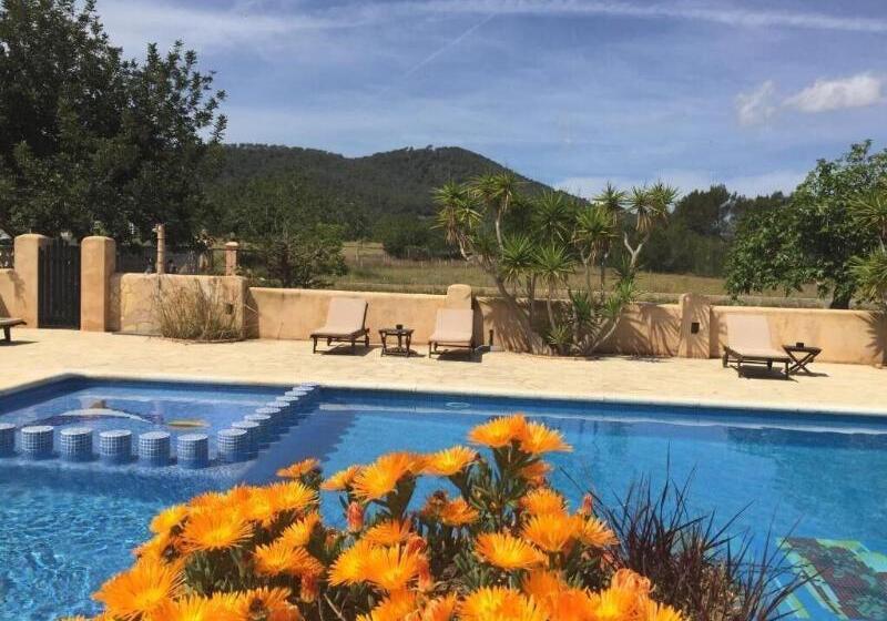 פנסיון Hostal Restaurante Pou Des Lleó