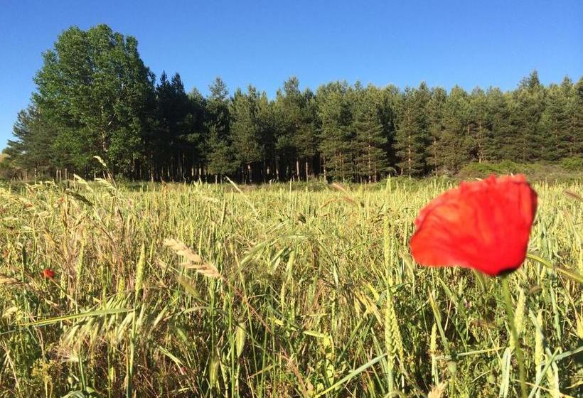 Пансион La Mesta