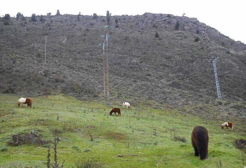 פנסיון Rural Pantano De Burgomillodo
