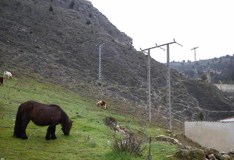 פנסיון Rural Pantano De Burgomillodo