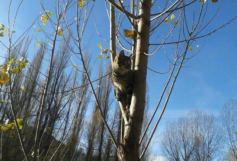 פנסיון Rural Pantano De Burgomillodo