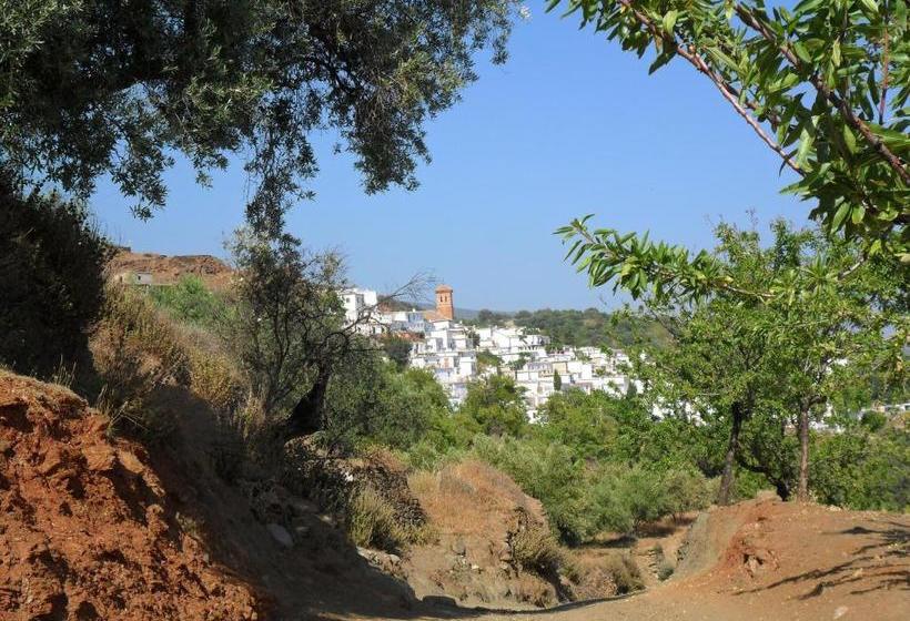 بنسيون Viña Y Rosales