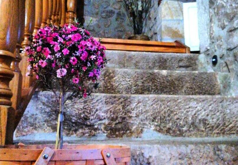 הוסטל La Posada De Maria