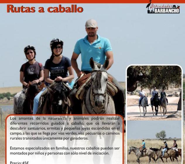 Apartamento Barbancho