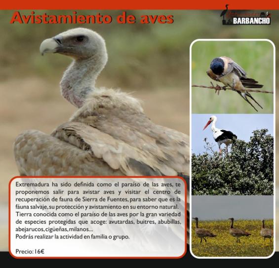 Apartamento Barbancho