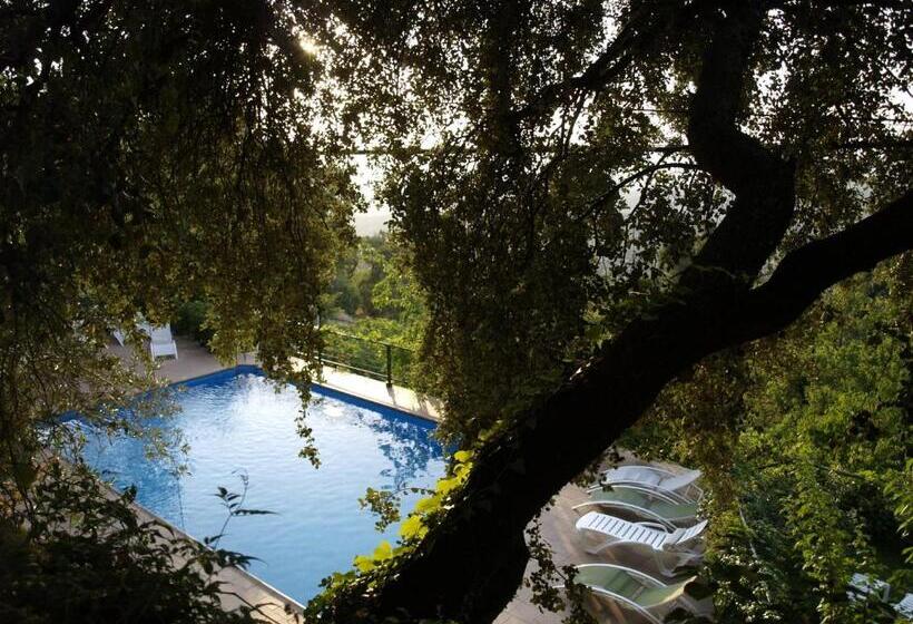 Apartamentos Arroyo Parrilla