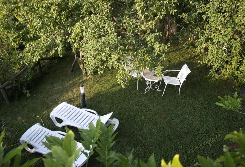 Apartamentos Arroyo Parrilla