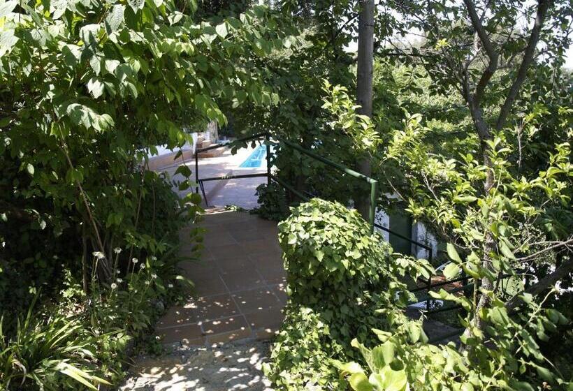 Apartamentos Arroyo Parrilla