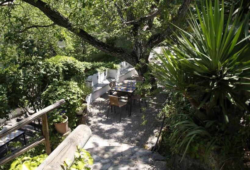 Apartamentos Arroyo Parrilla