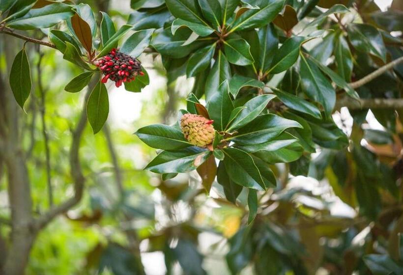 酒店 Casa Da Quinta Nova