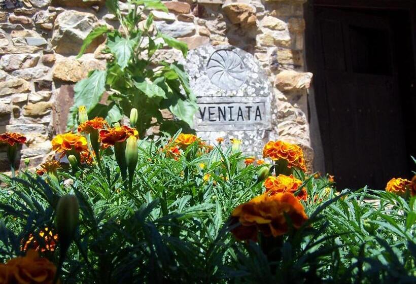 فندق Veniata