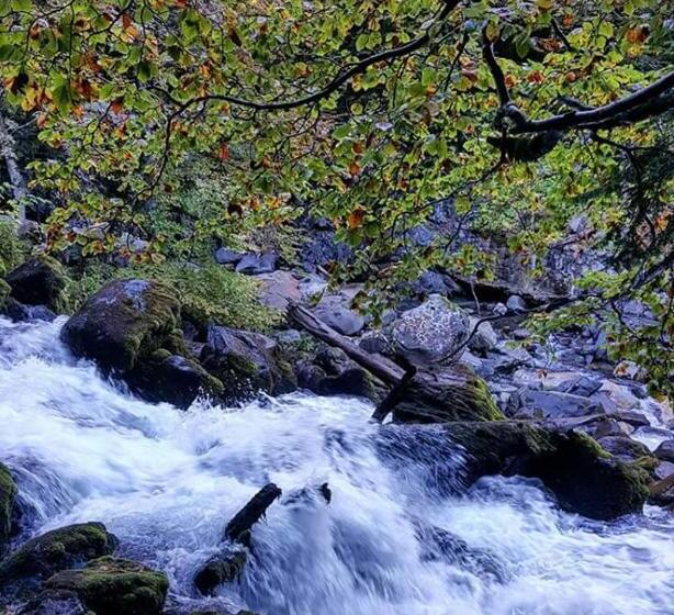 פנסיון Casa Es Neres