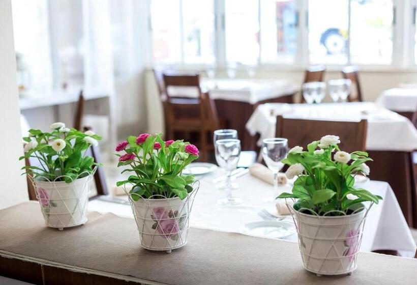 ペンション Complejo Roma