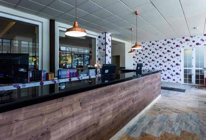 ペンション Complejo Roma