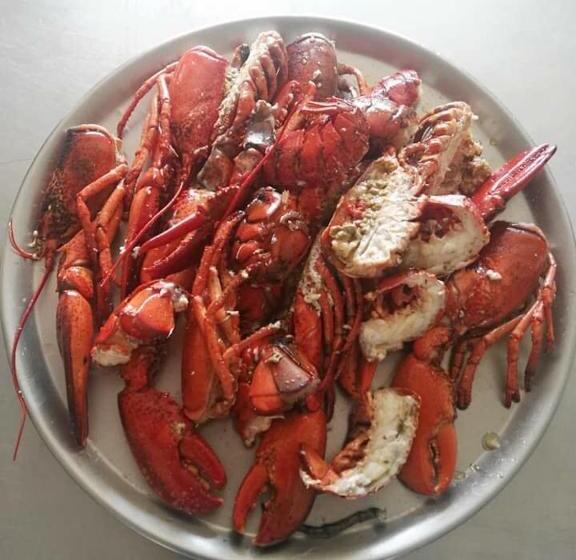 膳宿费 Hostal Can Barrina