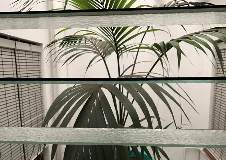 펜션 Hostal Carlos Iii