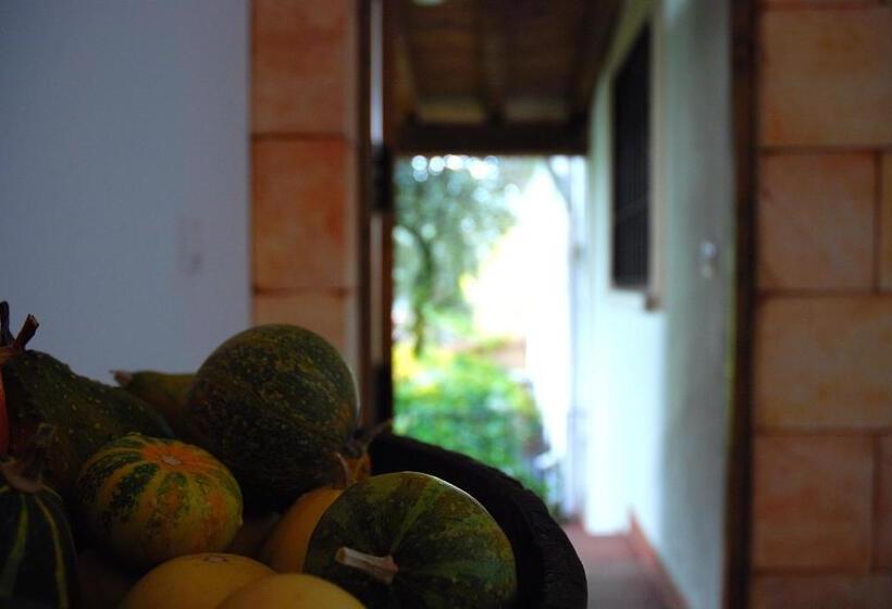 پانسیون Hostal El Cardenillo