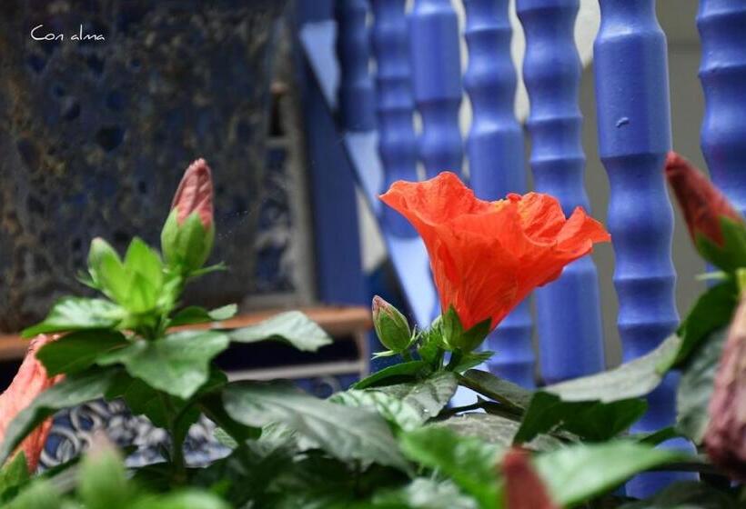 Пансион Hostal El Puerto Boutique