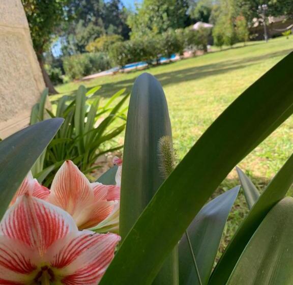 ペンション Hostal Expo