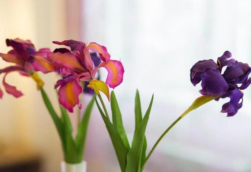 膳宿费 Hostal Maribel