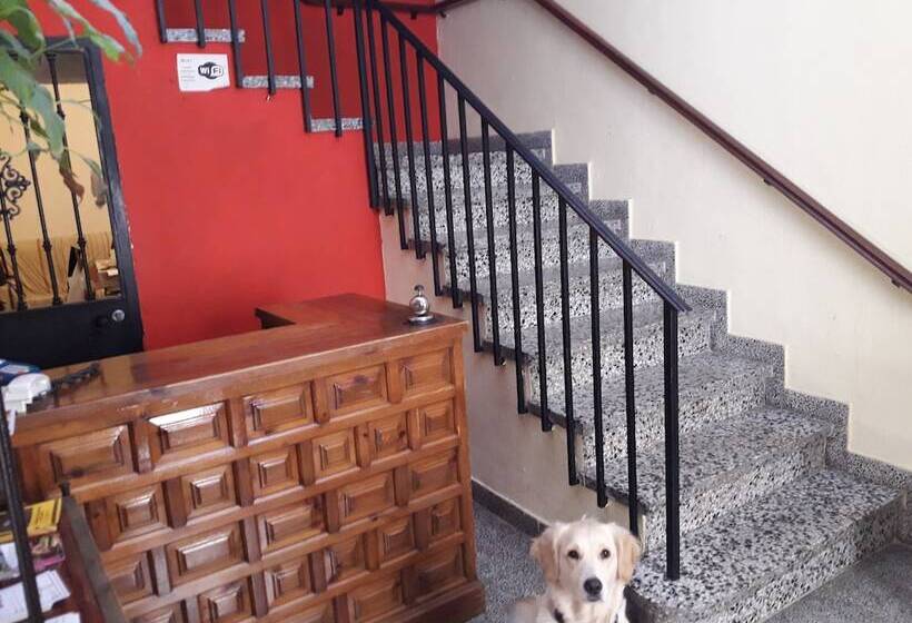 پانسیون Hostal Ronda Sol