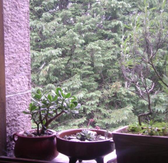 膳宿费 Hostal Venta San Blas