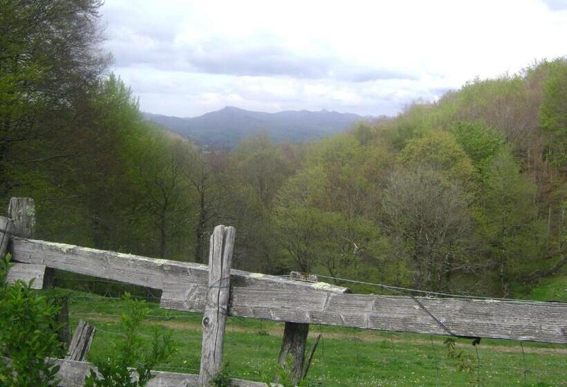 膳宿费 Hostal Venta San Blas