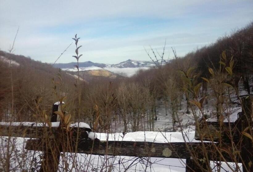 膳宿费 Hostal Venta San Blas