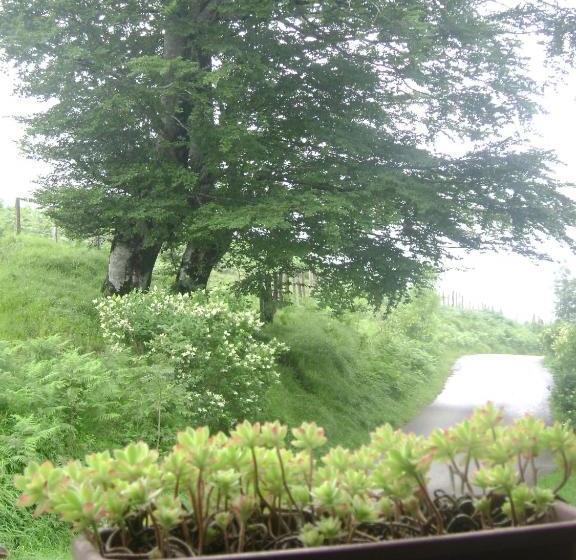 膳宿费 Hostal Venta San Blas