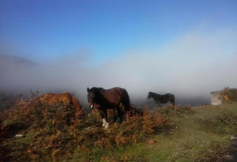 膳宿费 Hostal Venta San Blas