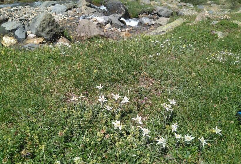 پانسیون La Cabaña