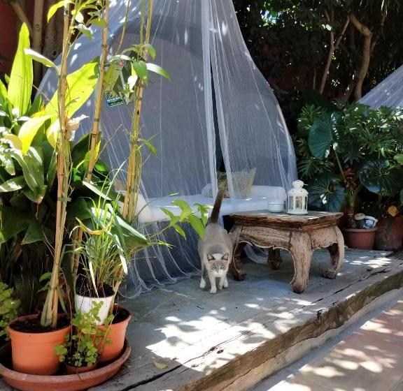 פנסיון La Posada De Lola   Adults Only