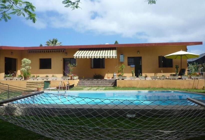 פנסיון Lagarto Hostel Tenerife