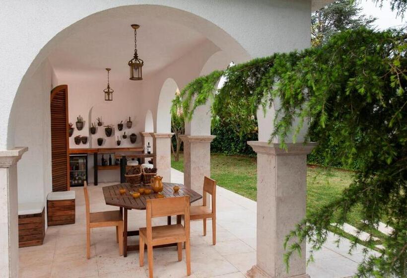 膳宿费 Montjuic Boutique Bed & Breakfast Girona