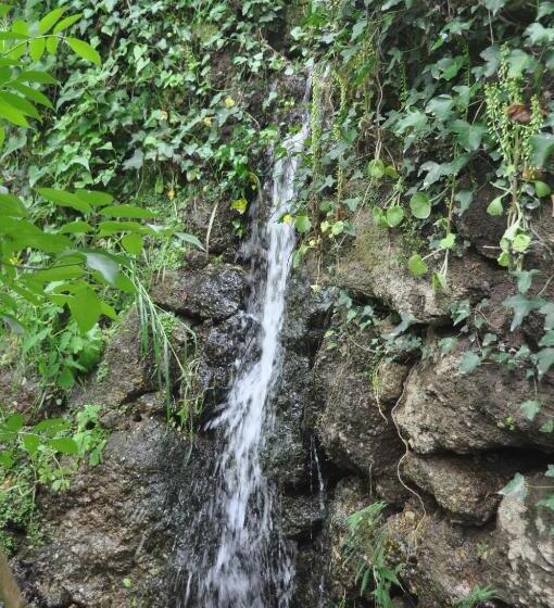 مبيت وإفطار Casas Vale Martinho