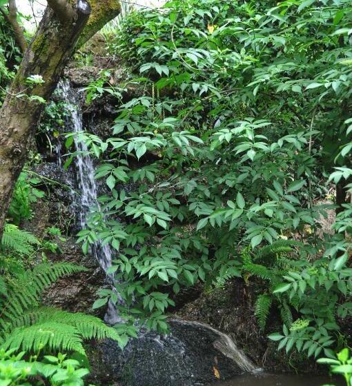 مبيت وإفطار Casas Vale Martinho