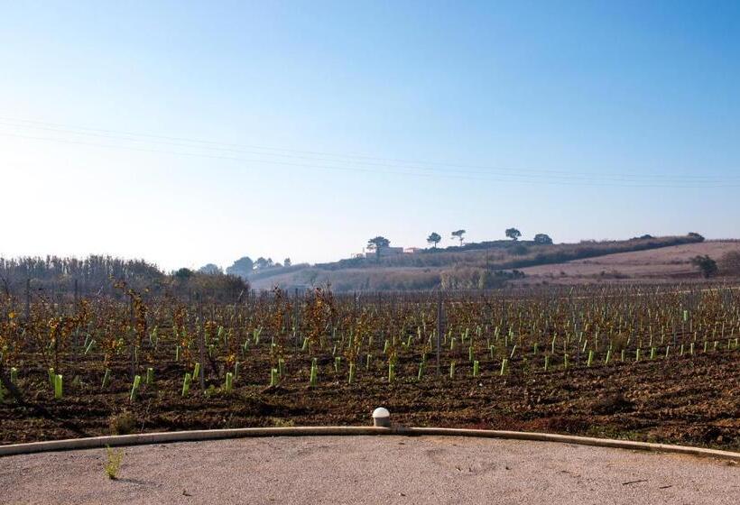 فندق Entre Vinhas & Mar