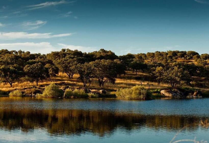 فندق Herdade Do Gamito