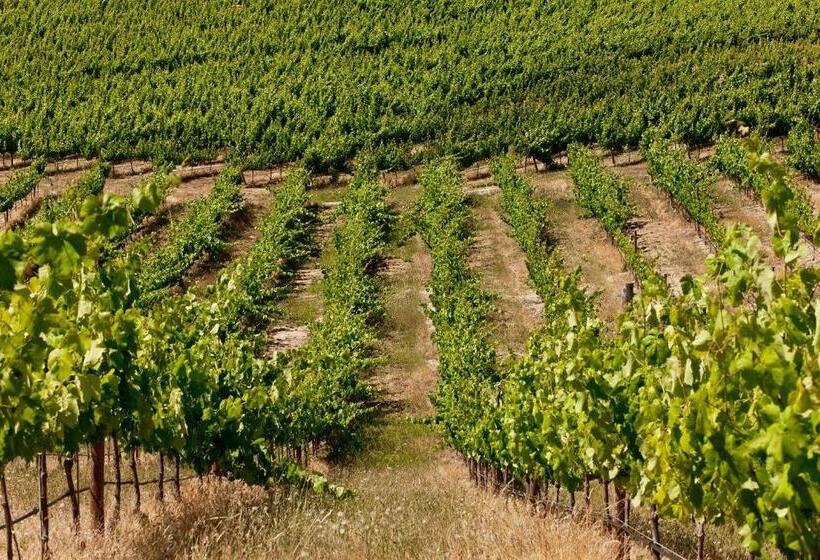 فندق Herdade Do Gamito