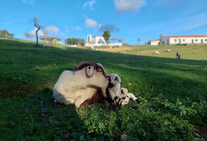 호텔 Herdade Vale De Cabras