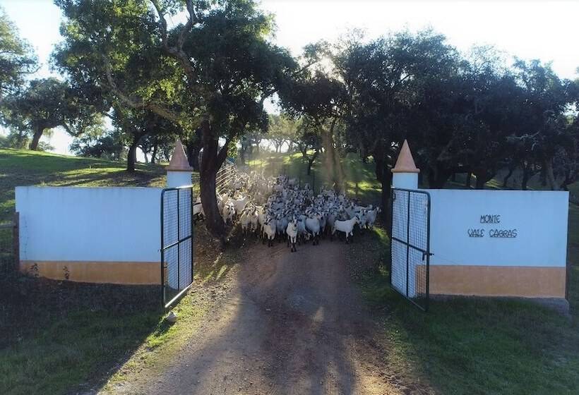 호텔 Herdade Vale De Cabras