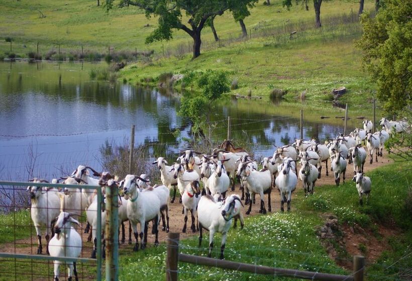 호텔 Herdade Vale De Cabras