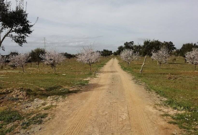 فندق Monte Beato