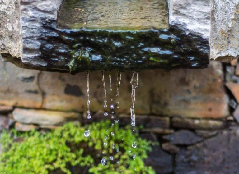 Отель Refúgios Do Pinhal