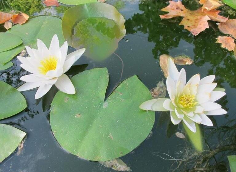 Отель Tapada Da Rabela   Reserva Natural