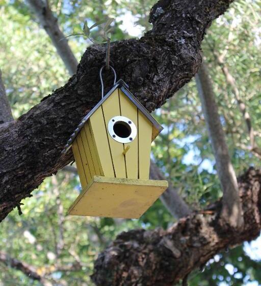 Отель Tapada Da Rabela   Reserva Natural