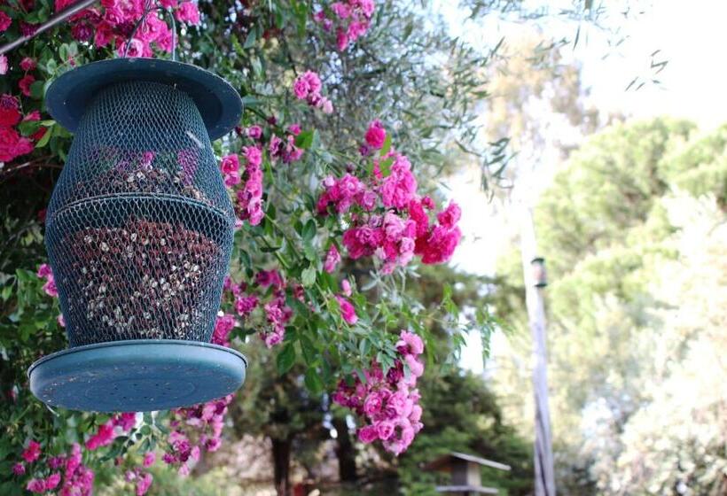 Отель Tapada Da Rabela   Reserva Natural